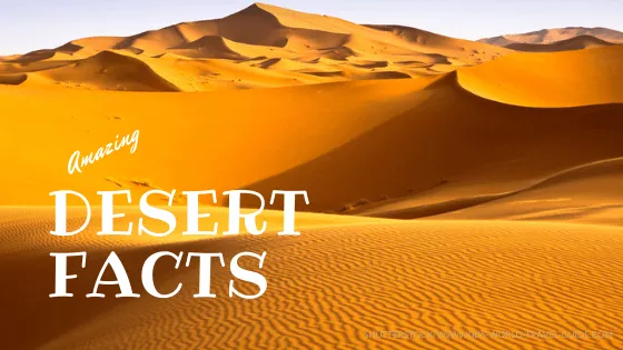 Desert Facts - Kids World Travel Guide